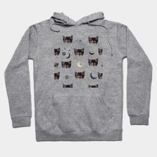 Cute cats and space pattern Hoodie